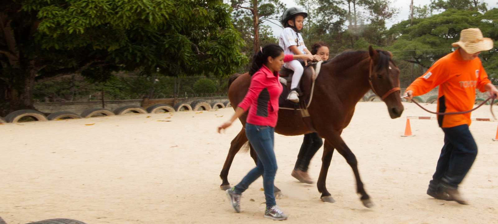 Terapia Equina