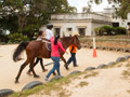 Cancha equina